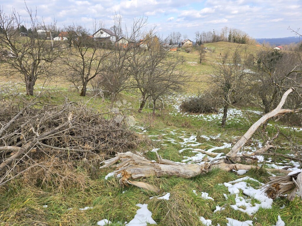 Image 6244318 - 7