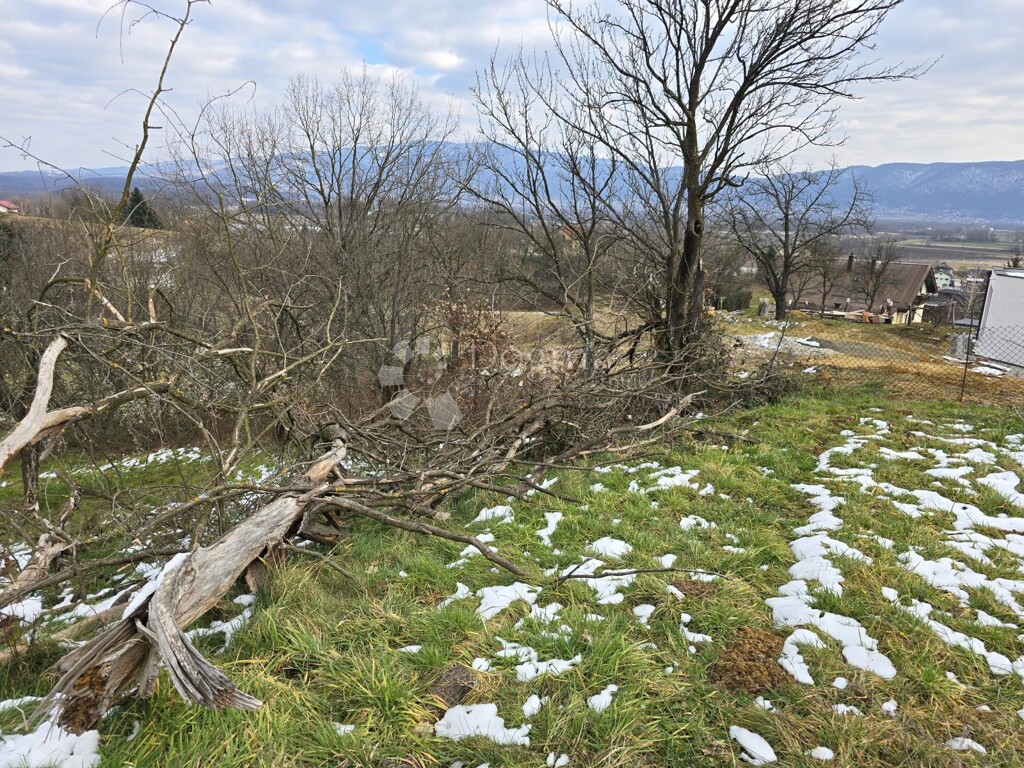 Image 6244318 - 6