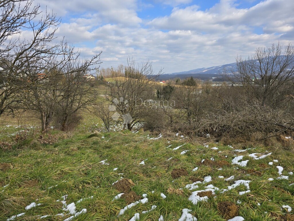 Image 6244318 - 9