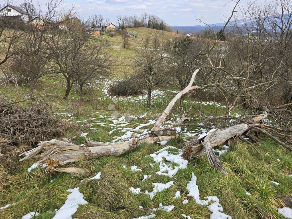 Image 6244318 - 4