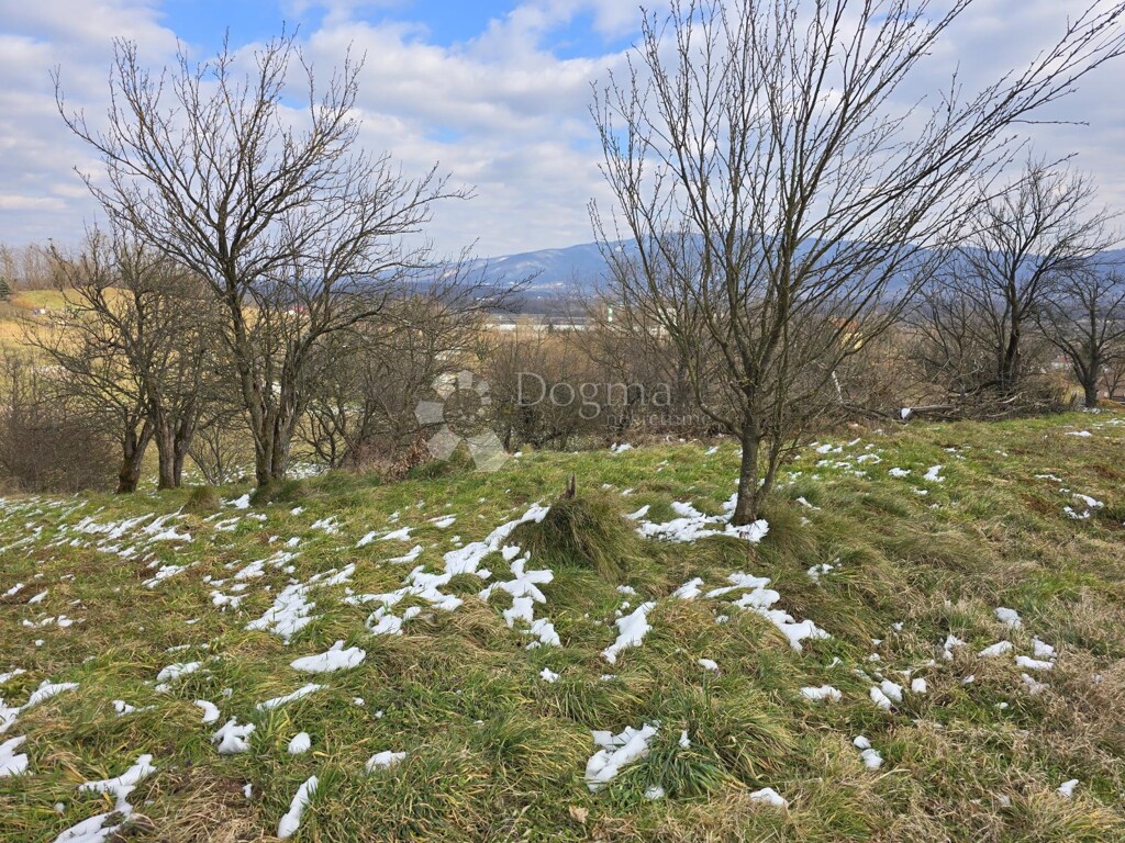 Image 6244318 - 11