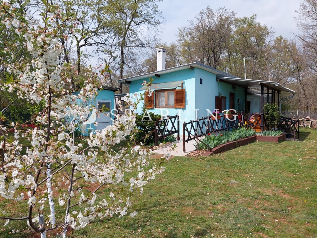 Image 6244332 - 1