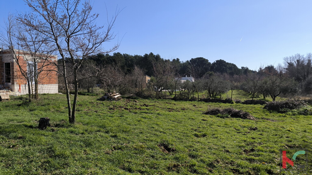Image 6244335 - 4