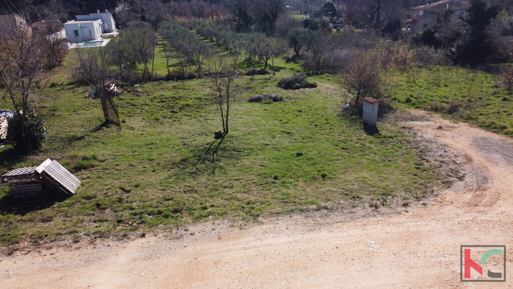 Image 6244335 - 6
