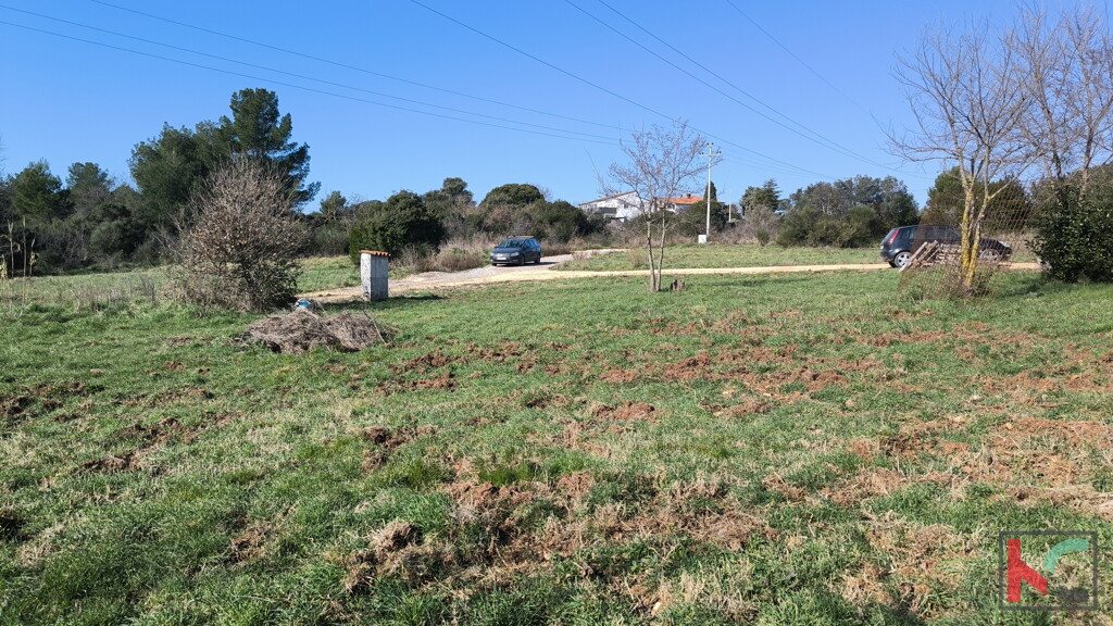 Image 6244335 - 3