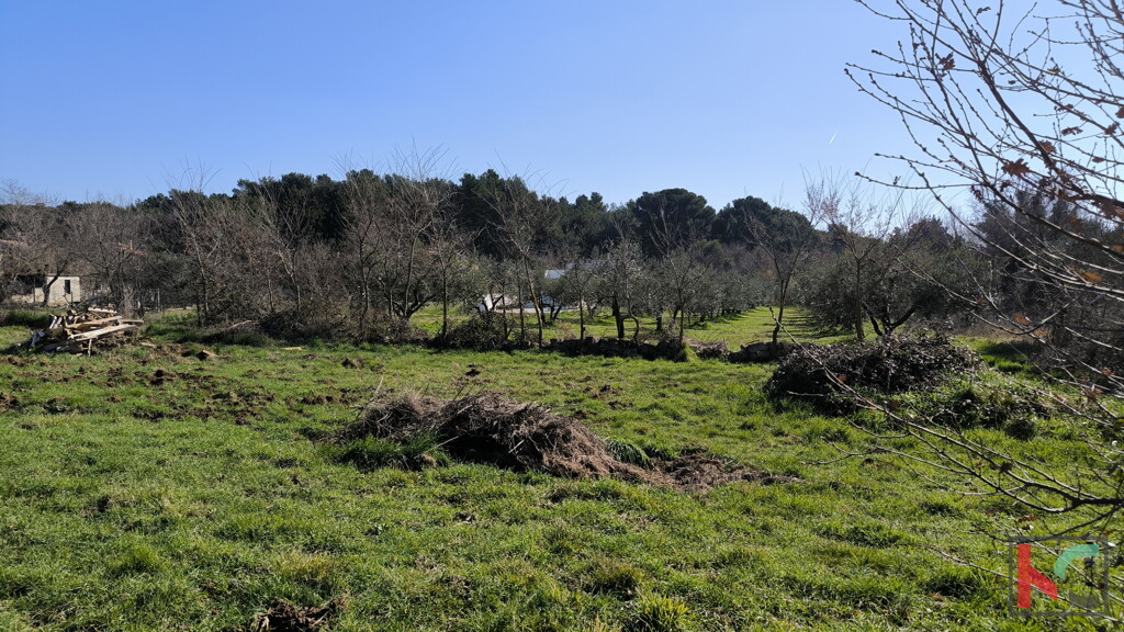 Image 6244335 - 1