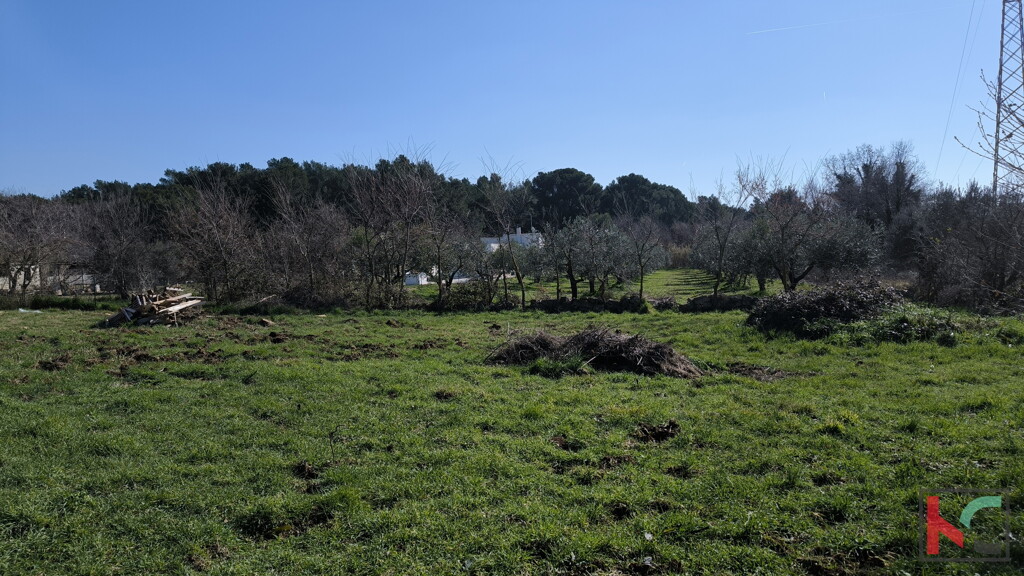 Image 6244335 - 5
