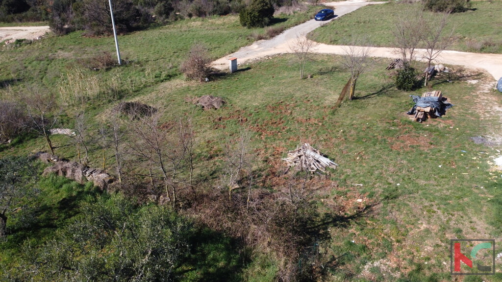 Image 6244335 - 9