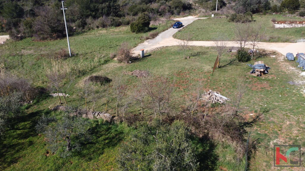 Image 6244335 - 8