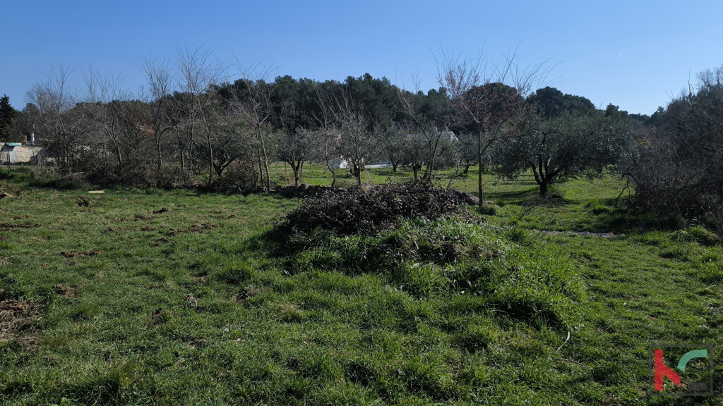 Image 6244335 - 2