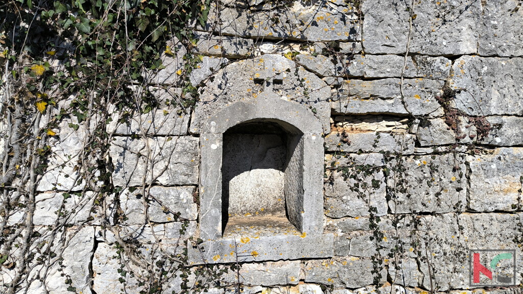 Image 6244337 - 6
