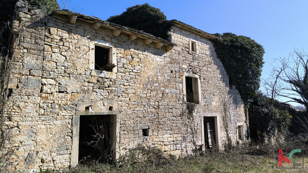 Image 6244337 - 2
