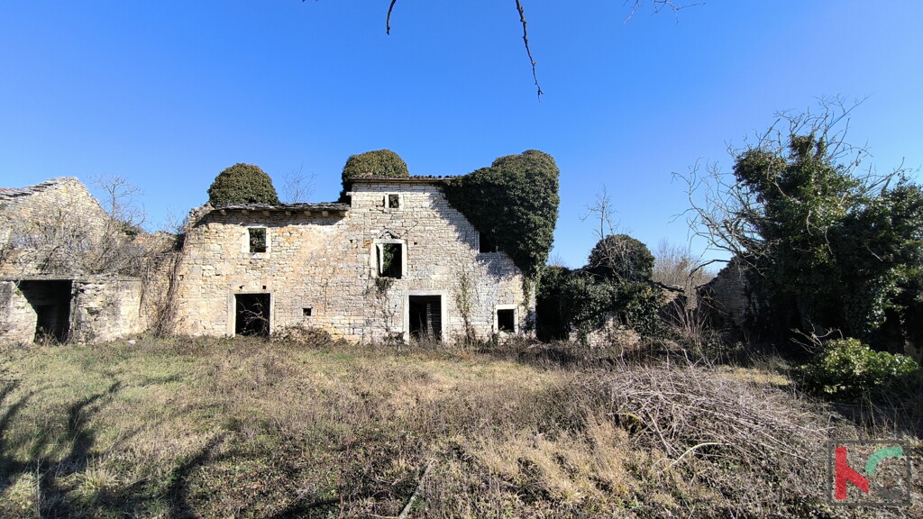 Image 6244337 - 3