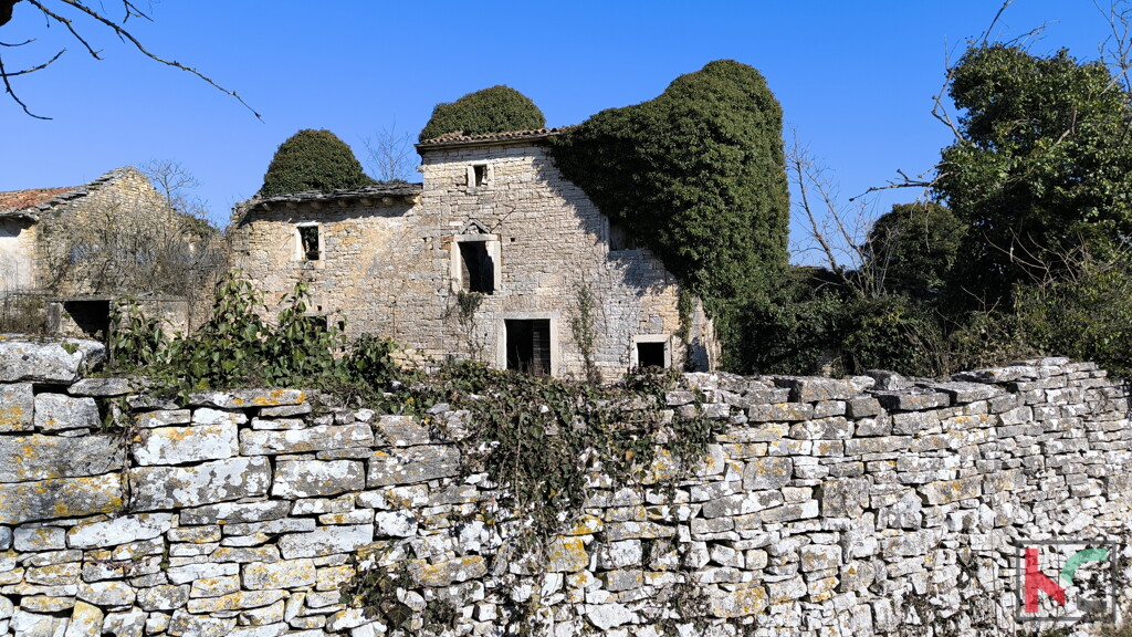 Image 6244337 - 5