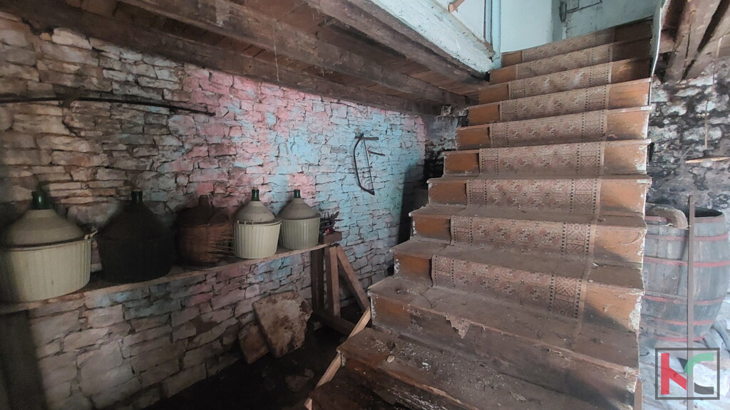 Image 6244338 - 4