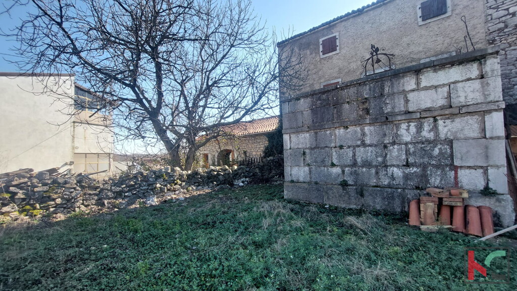 Image 6244338 - 6