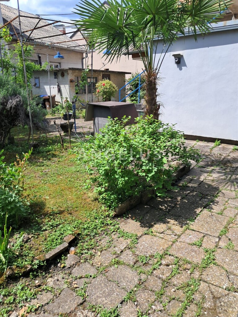 Image 6244378 - 5
