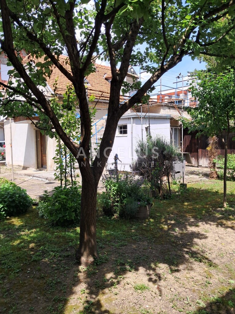 Image 6244378 - 2