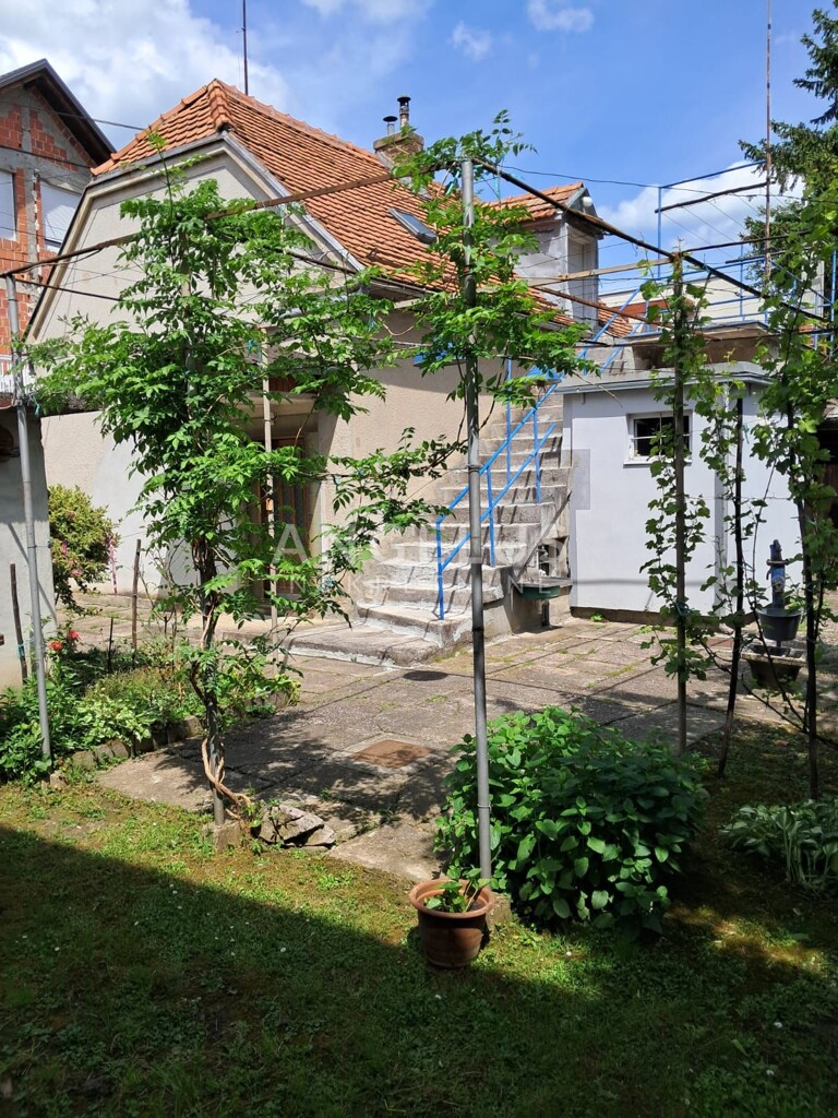Image 6244378 - 1
