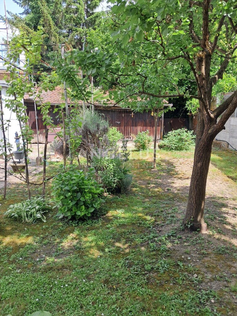 Image 6244378 - 4