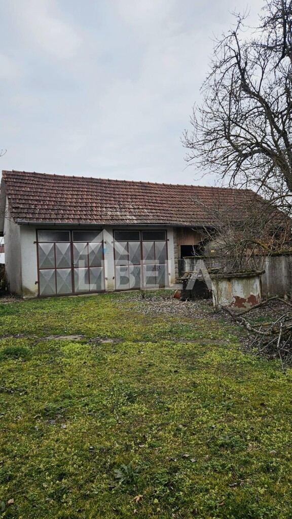 Image 6244442 - 2