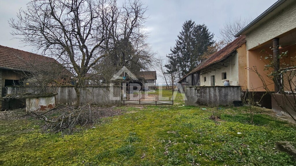 Image 6244442 - 1