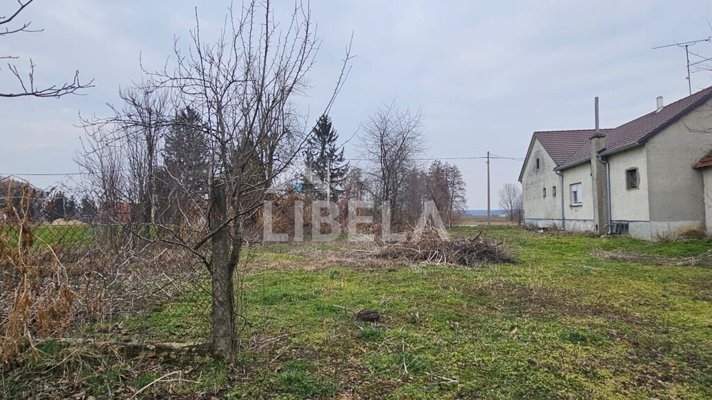 Image 6244442 - 14