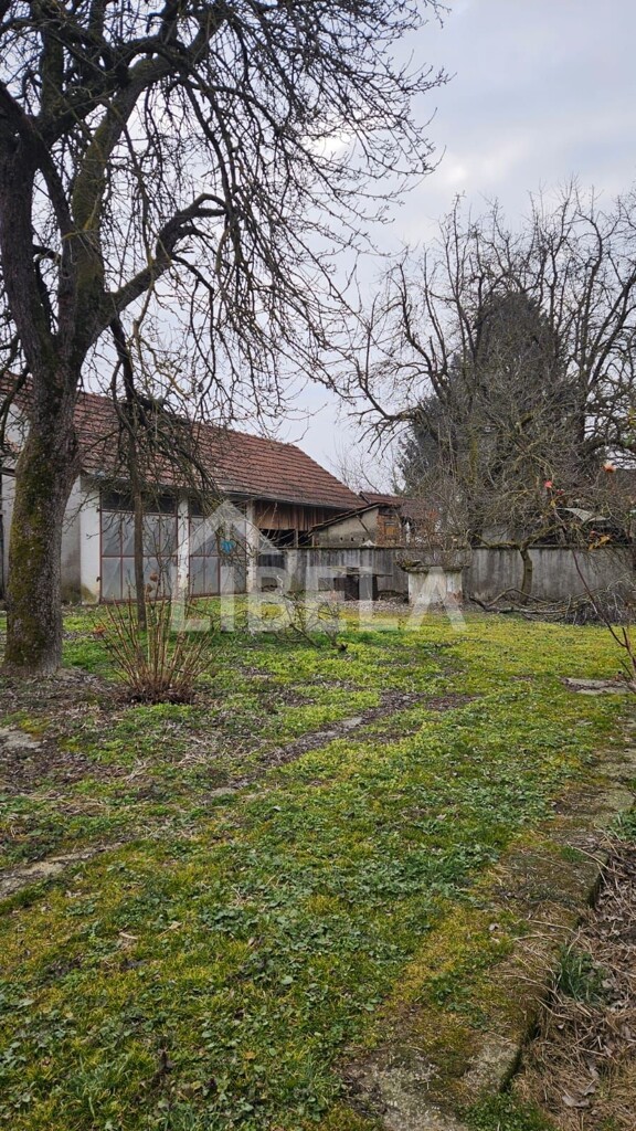 Image 6244442 - 3
