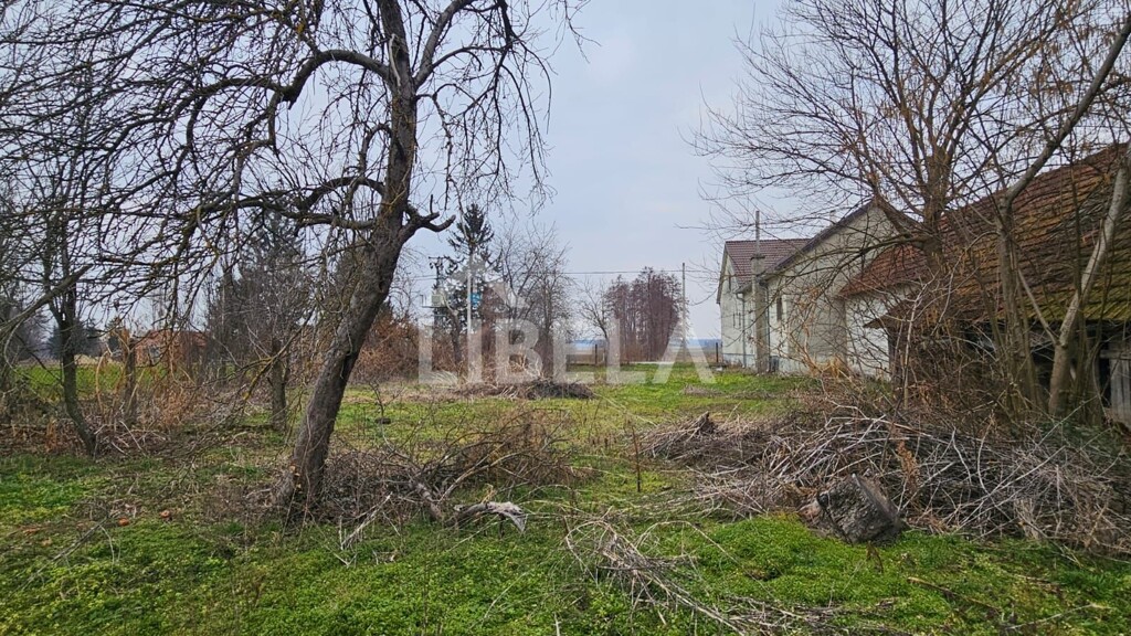 Image 6244442 - 12
