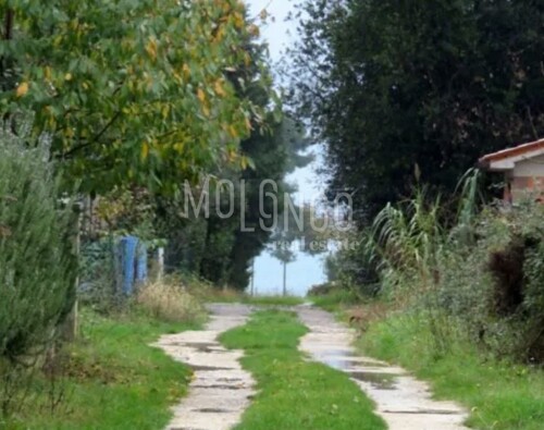 ISTRA, PEROJ Poljoprivredno zemljište 185m od mora