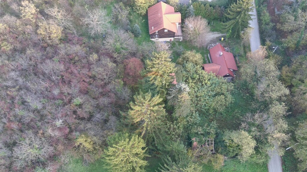 Image 6244494 - 3