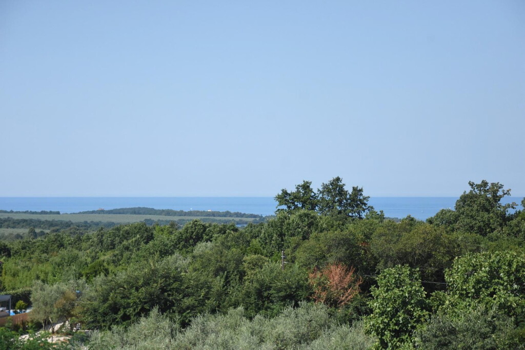 Image 6244497 - 2