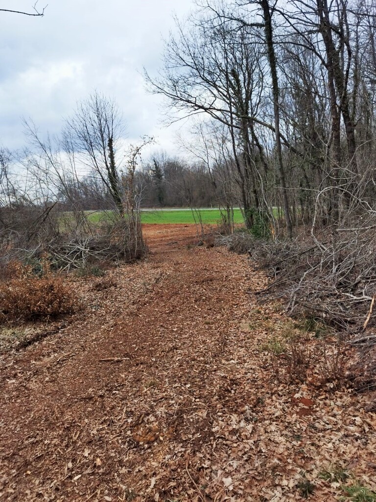 Image 6244556 - 6
