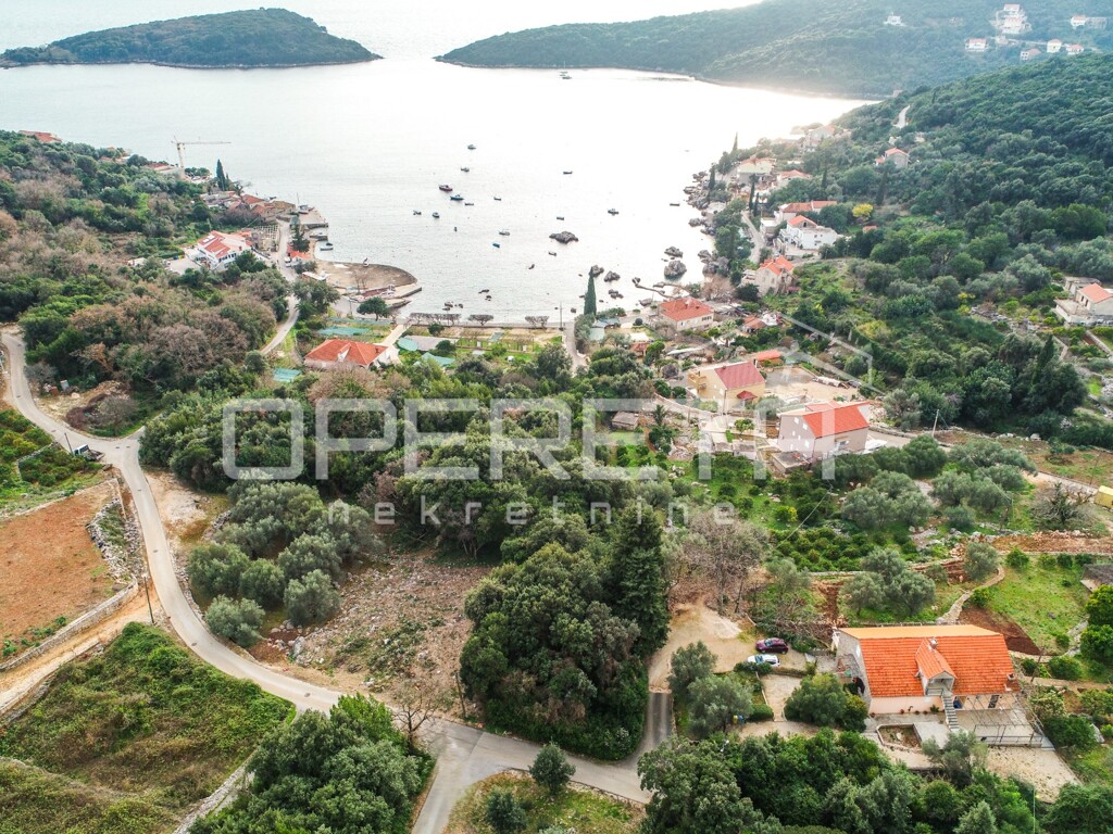 Image 6244717 - 2
