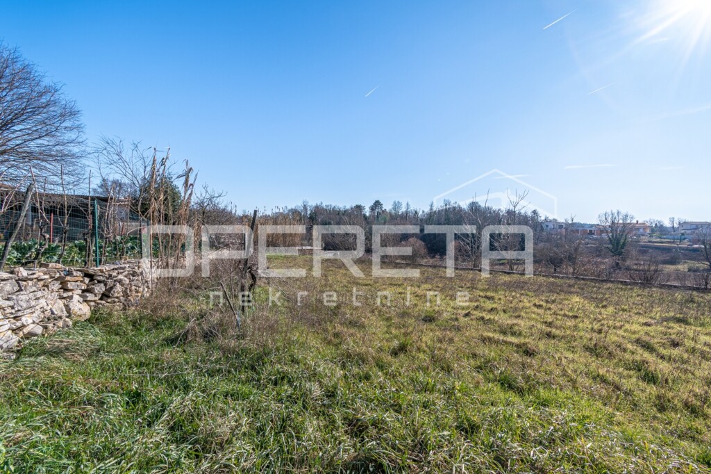 Image 6244719 - 3