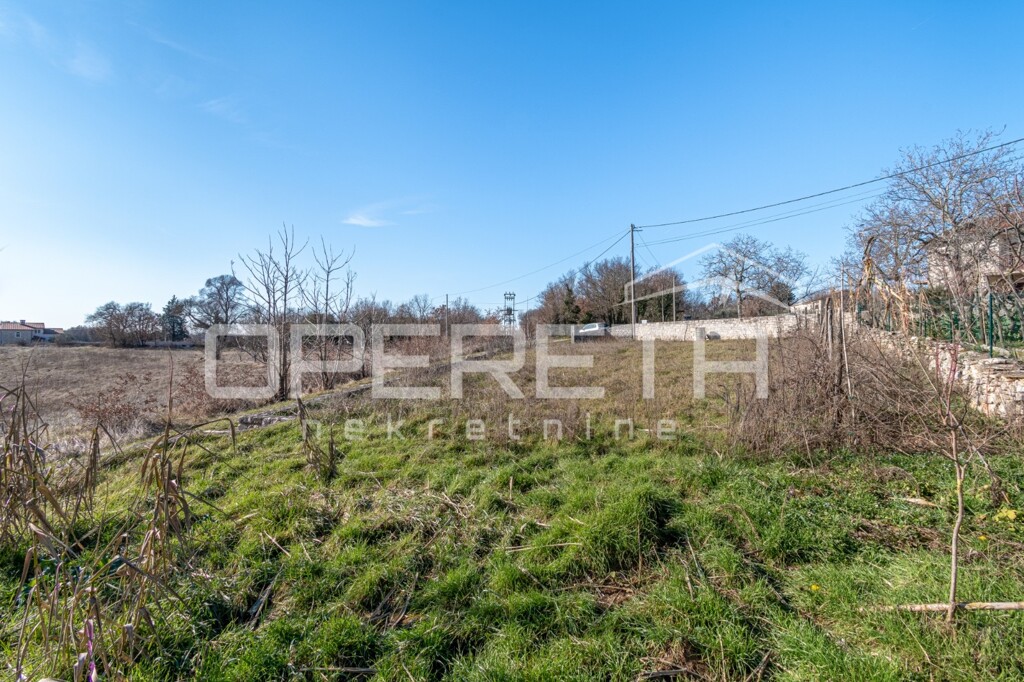 Image 6244719 - 7