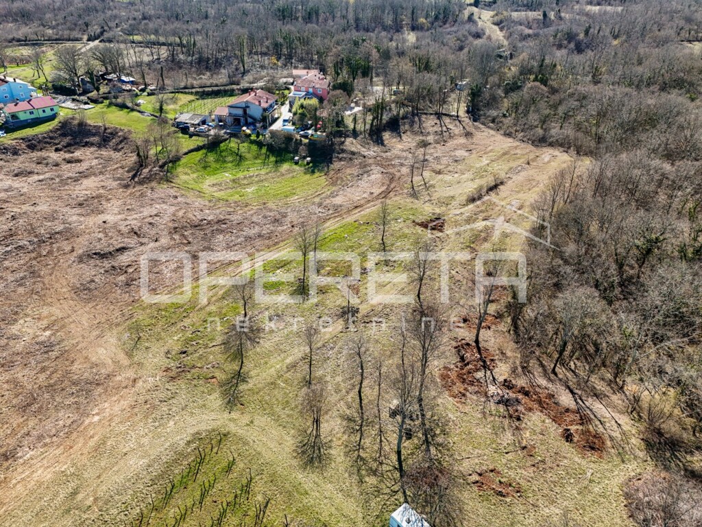 Image 6244720 - 1