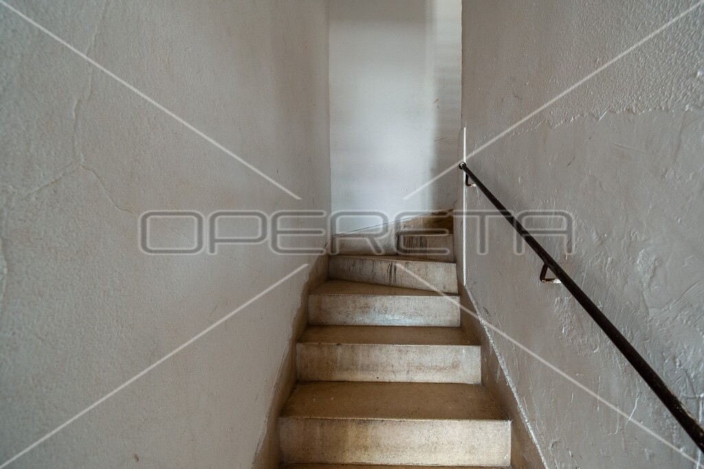 Image 6244727 - 7