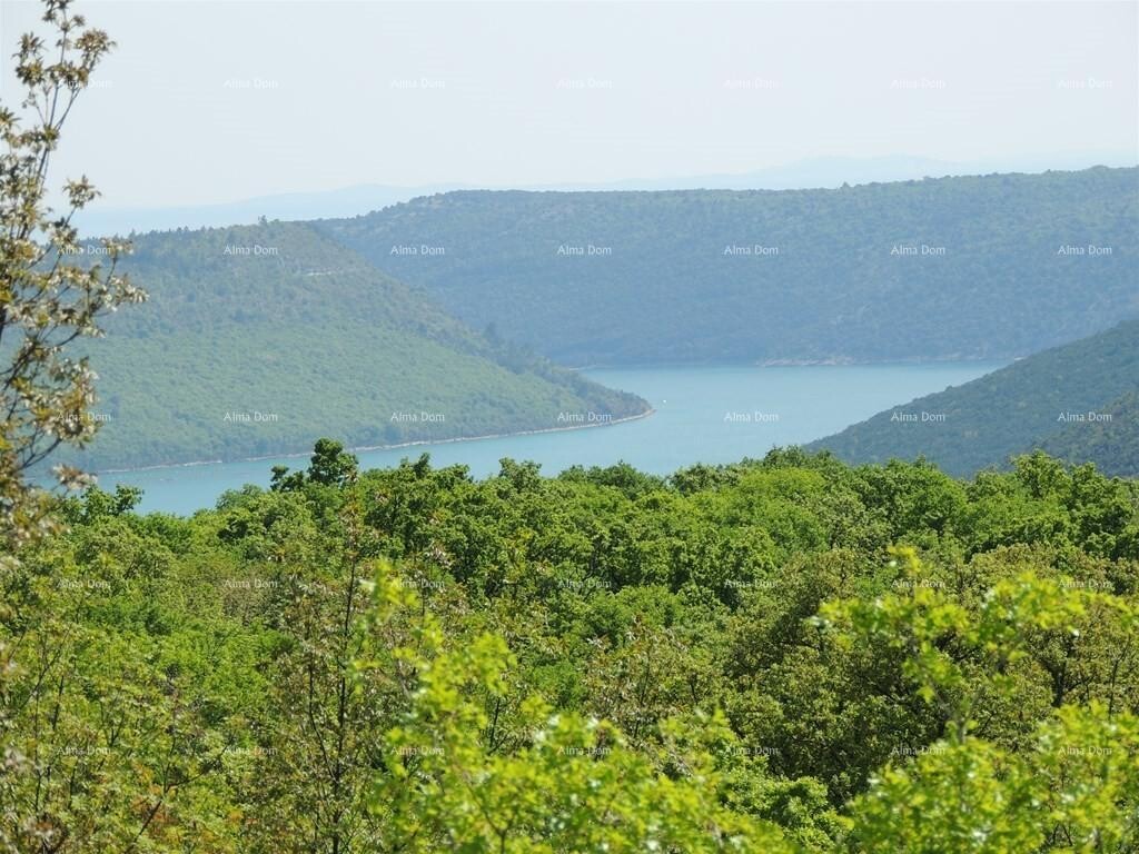 Image 6244784 - 3
