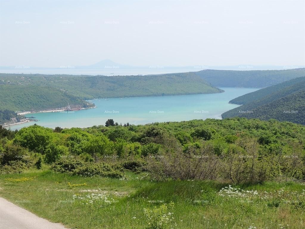 Image 6244784 - 4