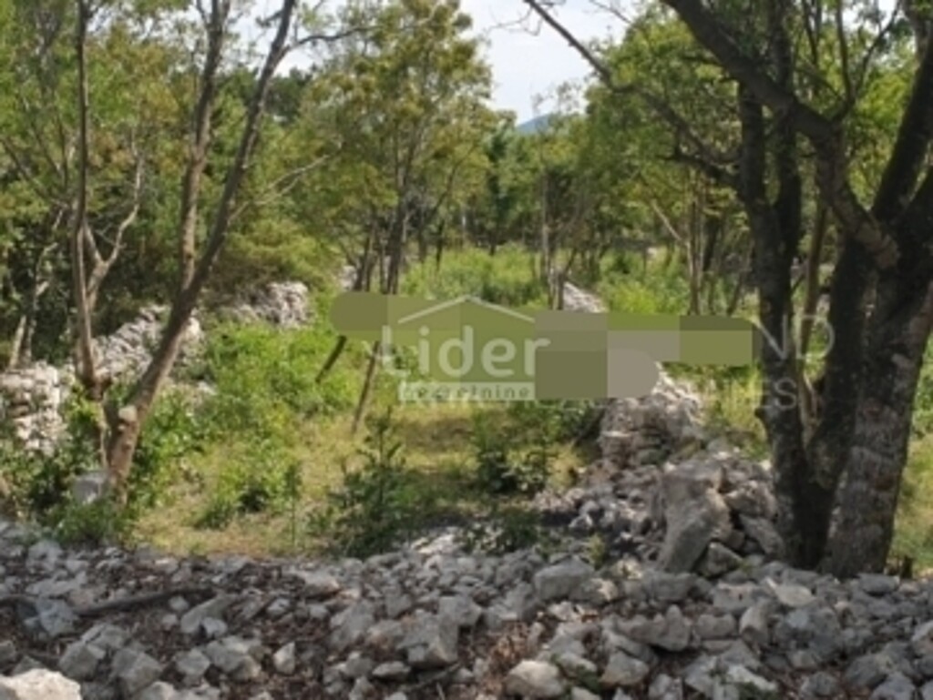 Image 6244868 - 3