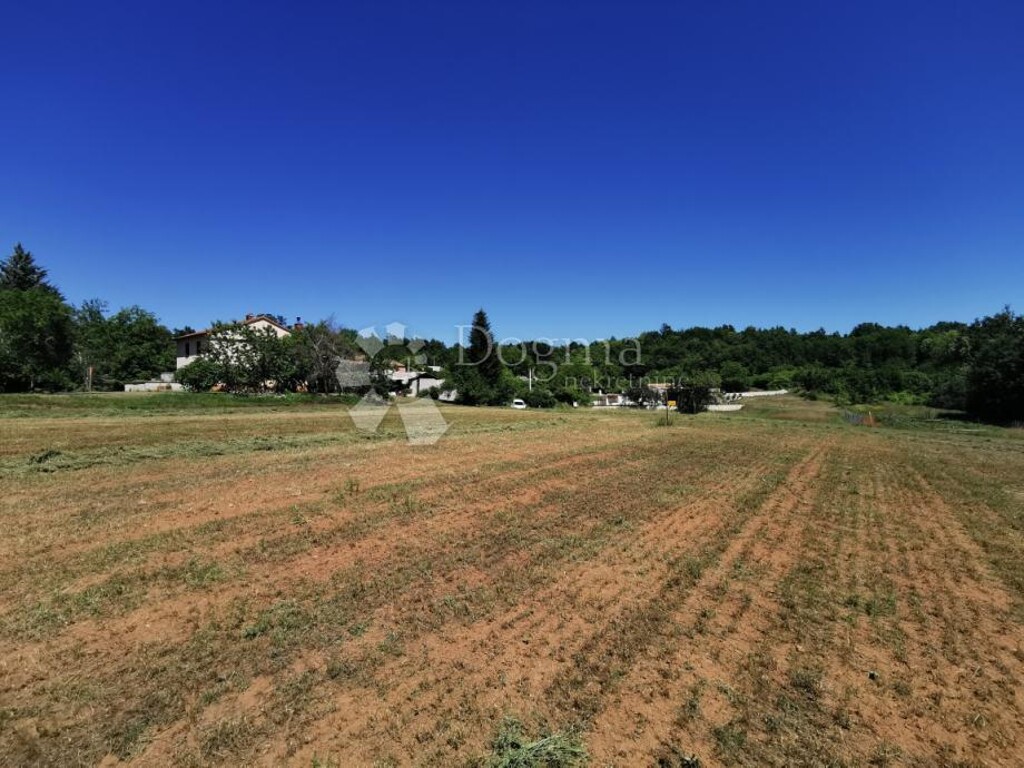 Image 6244886 - 1