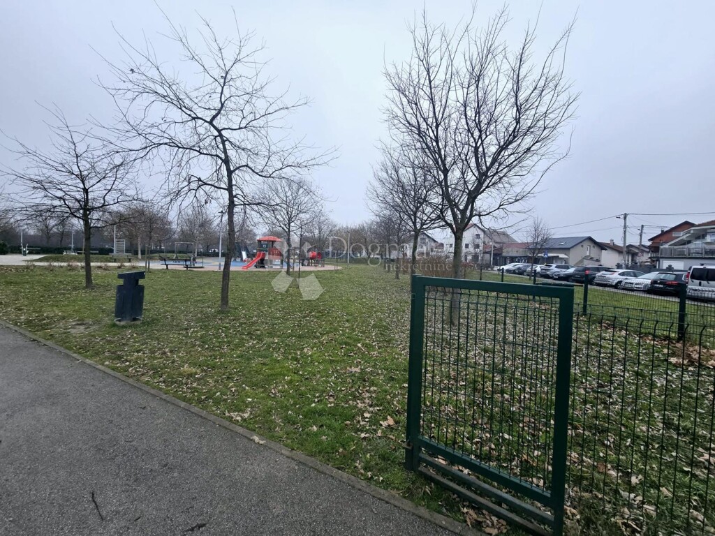 Image 6244888 - 4