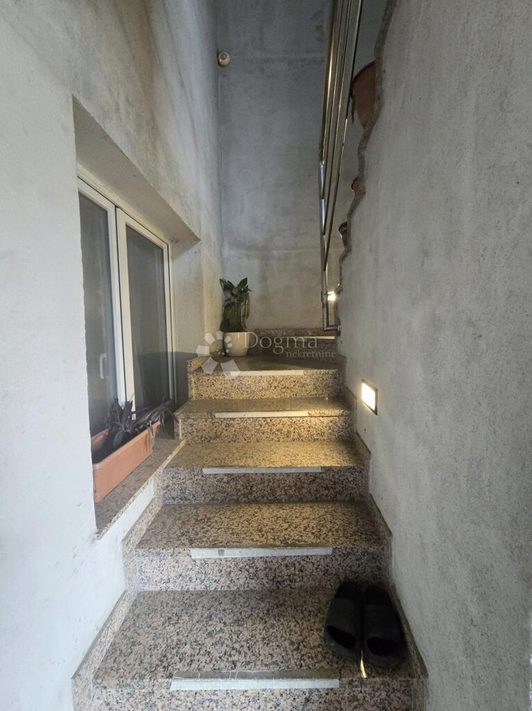 Image 6244888 - 1