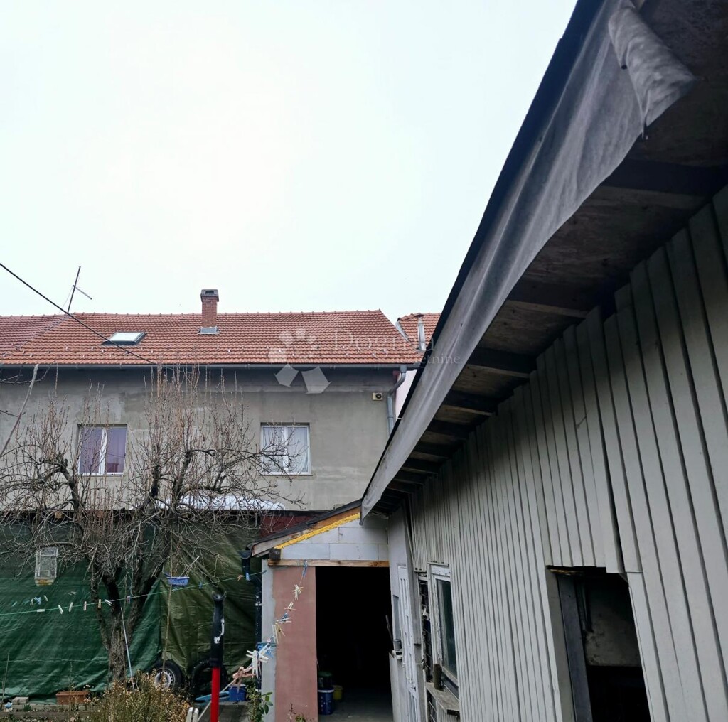Image 6244888 - 13