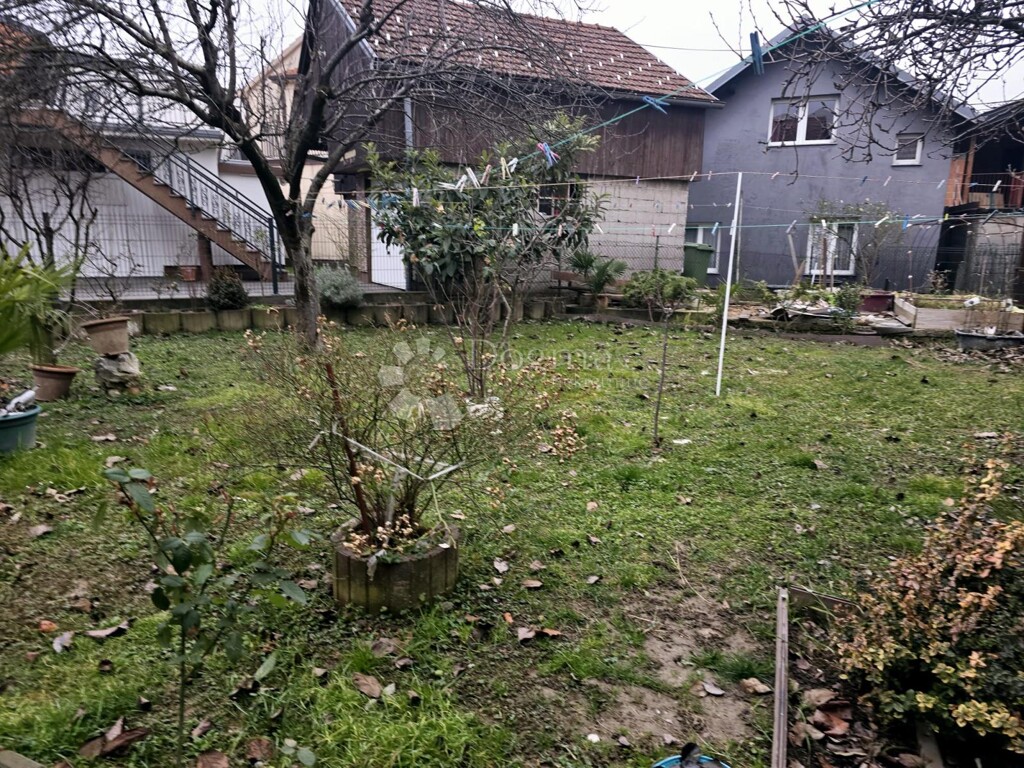 Image 6244888 - 9