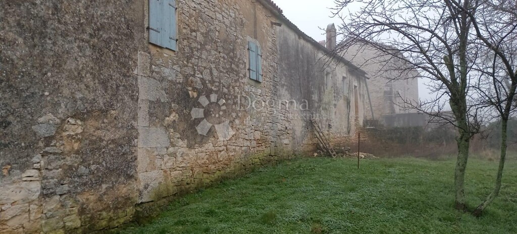 Image 6244891 - 9