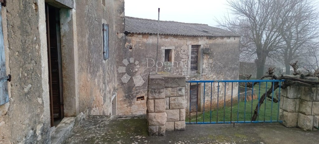 Image 6244891 - 4