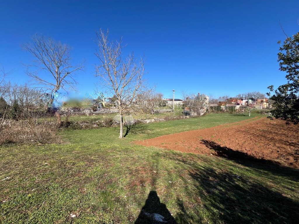 Image 6244897 - 2