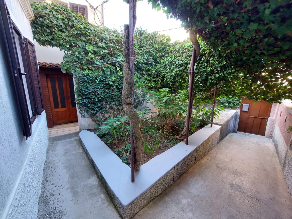 Image 6244908 - 3